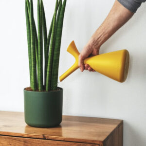 Cherry Black Man Suit